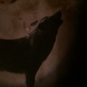 Meet your Posher, Bobby